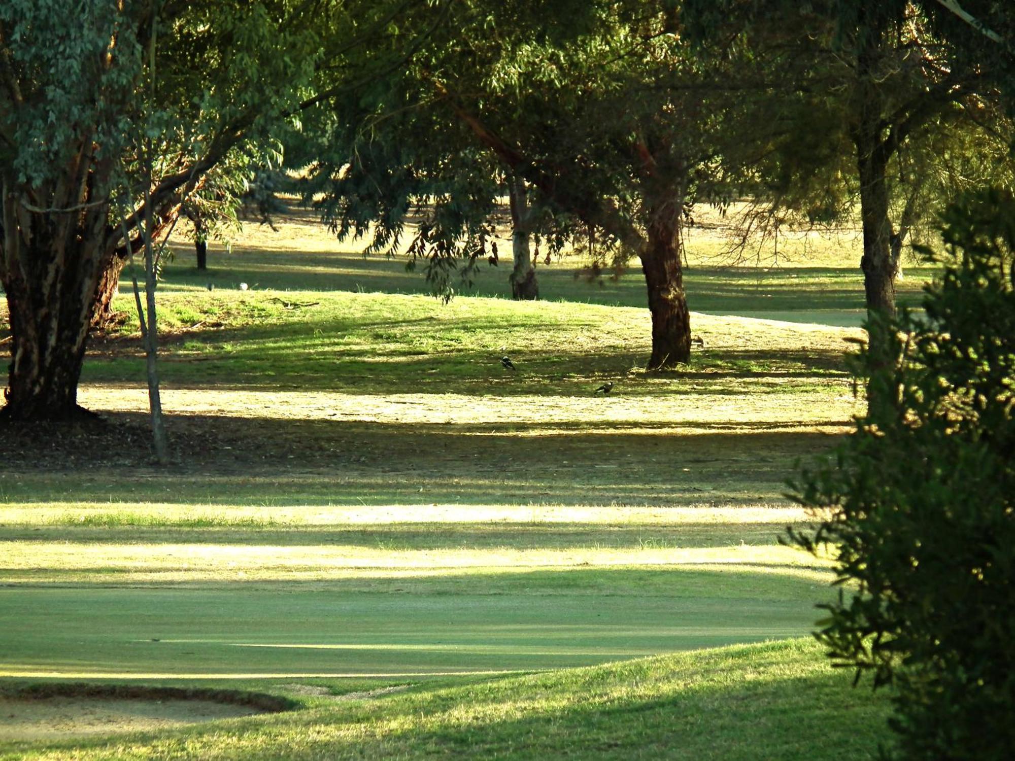 Cobram Barooga Golf Resort Rum bild
